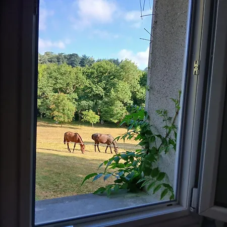 A La Campagne Soulaines-sur-Aubance